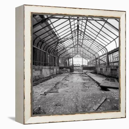 Once a Greenhouse-Evan Morris Cohen-Framed Premier Image Canvas