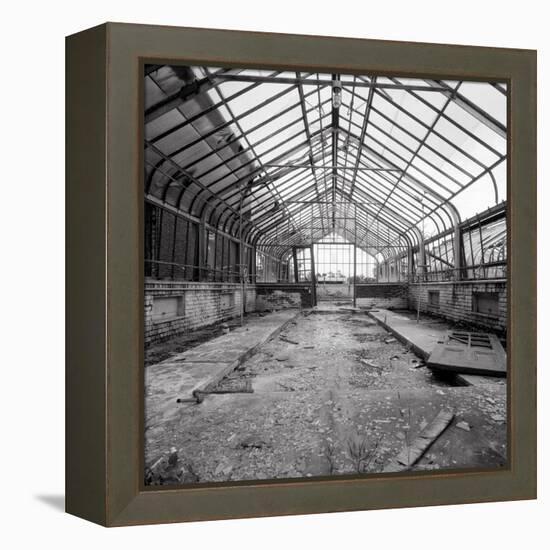 Once a Greenhouse-Evan Morris Cohen-Framed Premier Image Canvas