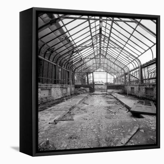 Once a Greenhouse-Evan Morris Cohen-Framed Premier Image Canvas