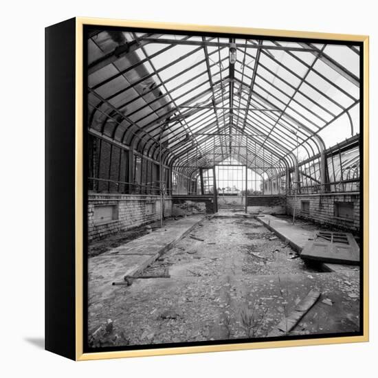 Once a Greenhouse-Evan Morris Cohen-Framed Premier Image Canvas