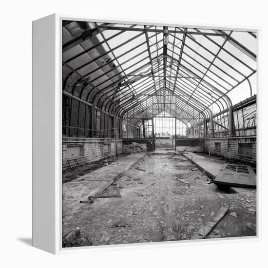 Once a Greenhouse-Evan Morris Cohen-Framed Premier Image Canvas