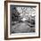 Once a Greenhouse-Evan Morris Cohen-Framed Photographic Print