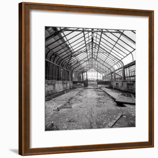 Once a Greenhouse-Evan Morris Cohen-Framed Photographic Print