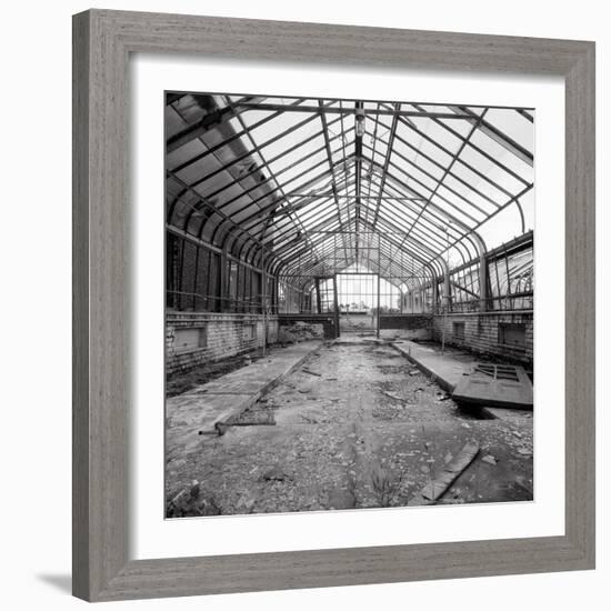 Once a Greenhouse-Evan Morris Cohen-Framed Photographic Print