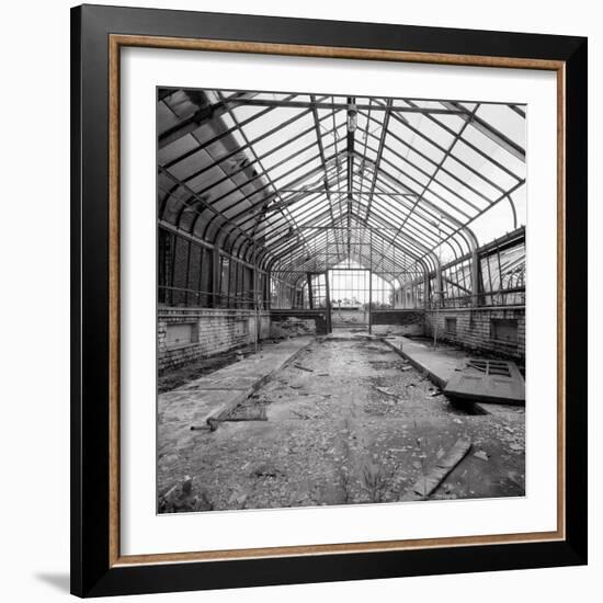 Once a Greenhouse-Evan Morris Cohen-Framed Photographic Print