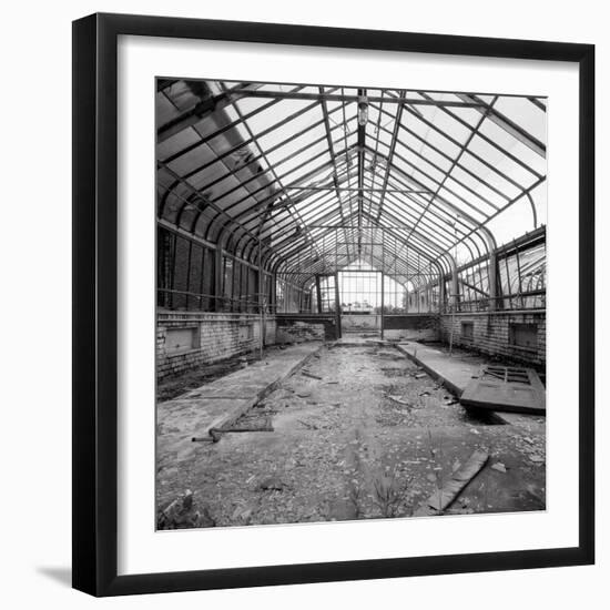 Once a Greenhouse-Evan Morris Cohen-Framed Photographic Print