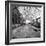 Once a Greenhouse-Evan Morris Cohen-Framed Photographic Print