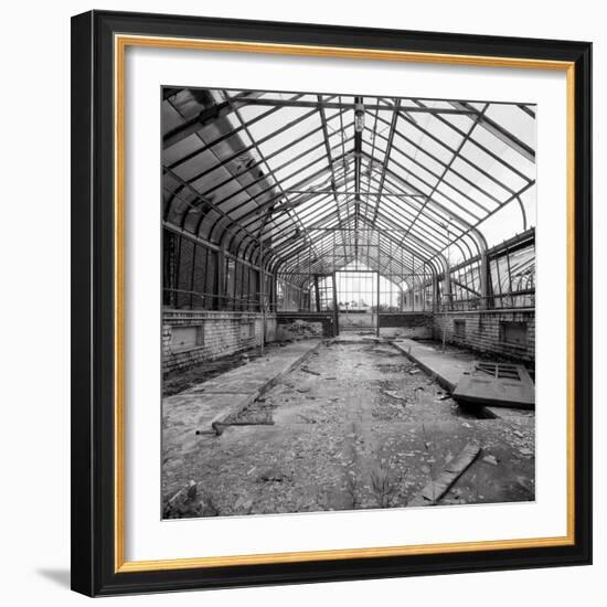 Once a Greenhouse-Evan Morris Cohen-Framed Photographic Print