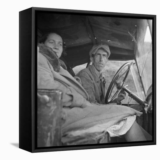 Once a Missouri farmer, now a migratory farm laborer on the Pacific Coast, 1936-Dorothea Lange-Framed Premier Image Canvas