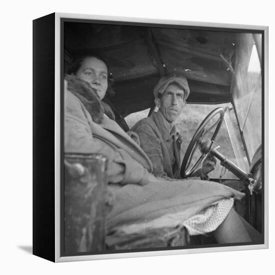 Once a Missouri farmer, now a migratory farm laborer on the Pacific Coast, 1936-Dorothea Lange-Framed Premier Image Canvas