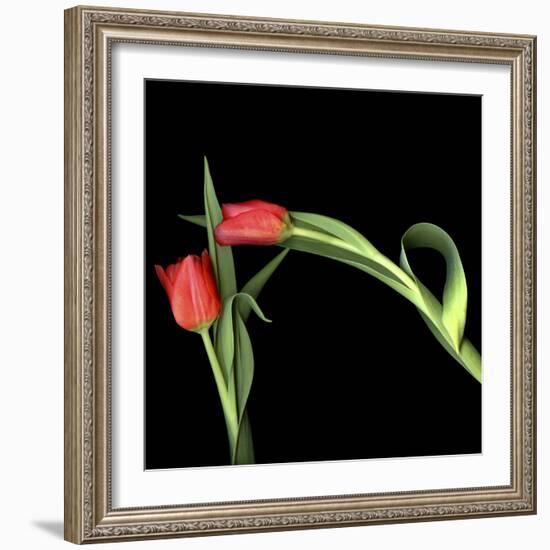 Once Bitten, Twice Shy?-Magda Indigo-Framed Photographic Print