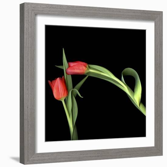 Once Bitten, Twice Shy?-Magda Indigo-Framed Photographic Print