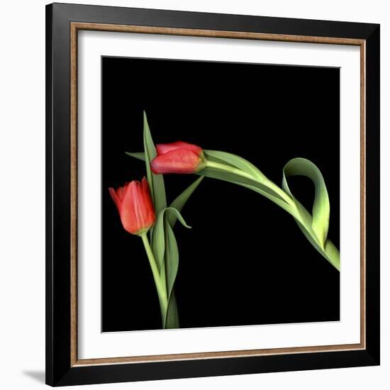 Once Bitten, Twice Shy?-Magda Indigo-Framed Photographic Print