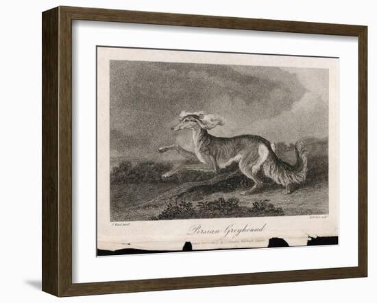 Once Known as the Persian Greyhound-H.r. Cook-Framed Art Print