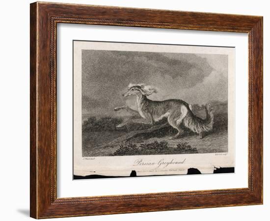 Once Known as the Persian Greyhound-H.r. Cook-Framed Art Print
