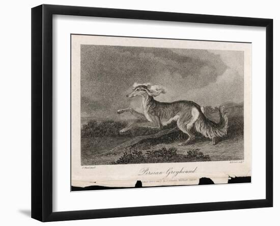 Once Known as the Persian Greyhound-H.r. Cook-Framed Art Print