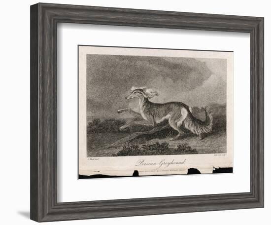 Once Known as the Persian Greyhound-H.r. Cook-Framed Art Print