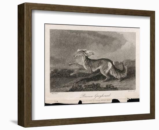 Once Known as the Persian Greyhound-H.r. Cook-Framed Art Print