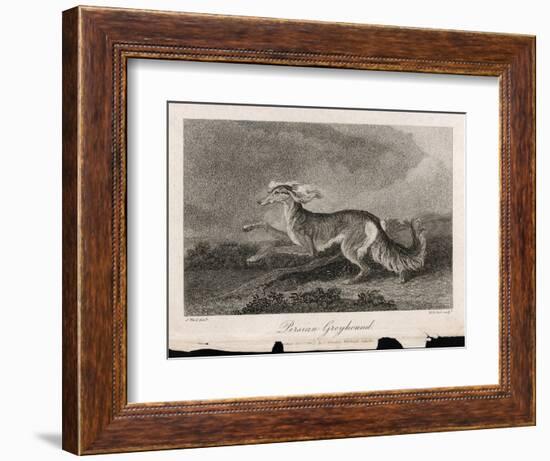 Once Known as the Persian Greyhound-H.r. Cook-Framed Art Print