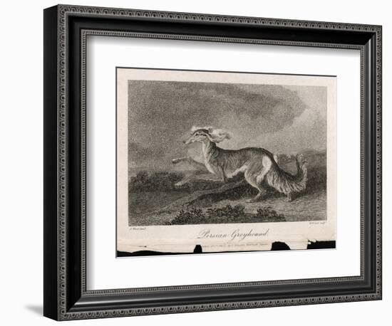 Once Known as the Persian Greyhound-H.r. Cook-Framed Art Print