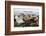 Once Small Fishing Village on Tiny Island of Ona, Now Summer Cabins, Ona, Sandoy, Norway-David Lomax-Framed Photographic Print