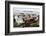 Once Small Fishing Village on Tiny Island of Ona, Now Summer Cabins, Ona, Sandoy, Norway-David Lomax-Framed Photographic Print