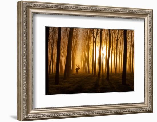 Once Upon a Time-nafets norim-Framed Photographic Print