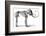 Oncoul Mammoth, 19th Century Artwork-Science Photo Library-Framed Photographic Print