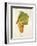 Ondenc Grape-J. Troncy-Framed Giclee Print