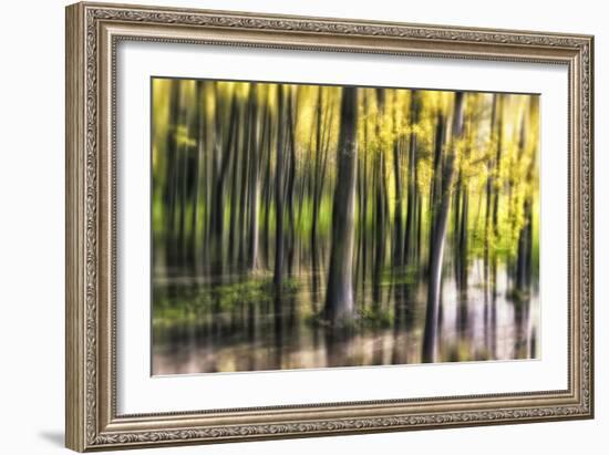 Ondine-Viviane Fedieu Daniel-Framed Photographic Print