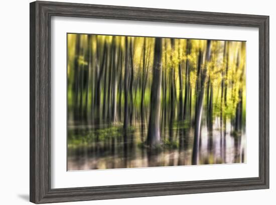 Ondine-Viviane Fedieu Daniel-Framed Photographic Print