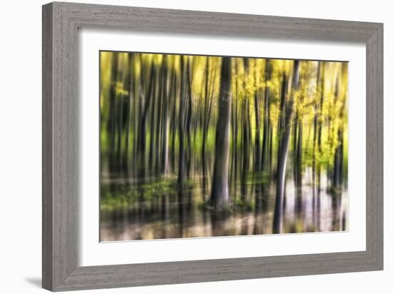 Ondine-Viviane Fedieu Daniel-Framed Photographic Print