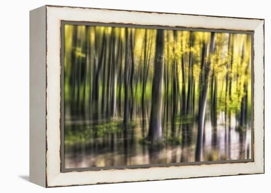 Ondine-Viviane Fedieu Daniel-Framed Premier Image Canvas