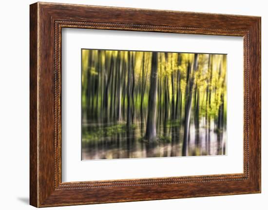 Ondine-Viviane Fedieu Daniel-Framed Photographic Print