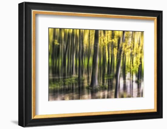 Ondine-Viviane Fedieu Daniel-Framed Photographic Print