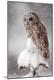 Photographic Print