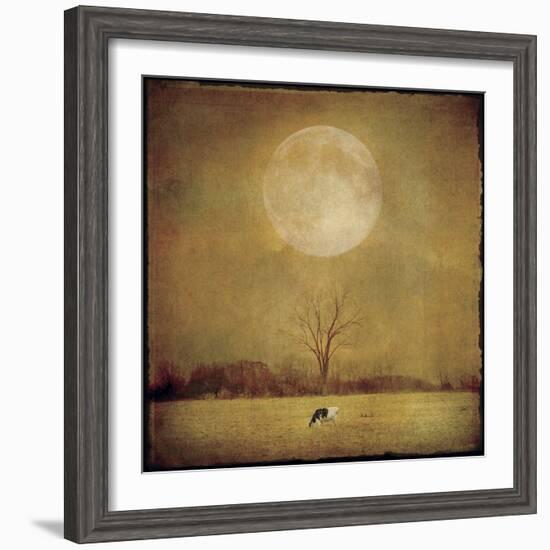 One Cow-Dawne Polis-Framed Art Print