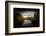 One Day in November-Philippe Sainte-Laudy-Framed Photographic Print