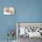 One Day Old Baby Girl Sleeping-Cristina-Mounted Photographic Print displayed on a wall