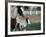 One Day Old Horse with Mother-Chris Rogers-Framed Photographic Print