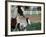 One Day Old Horse with Mother-Chris Rogers-Framed Photographic Print