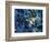 One finds this kelp growing on the beach in Hellnar, Iceland.-Mallorie Ostrowitz-Framed Photographic Print
