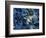 One finds this kelp growing on the beach in Hellnar, Iceland.-Mallorie Ostrowitz-Framed Photographic Print