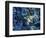 One finds this kelp growing on the beach in Hellnar, Iceland.-Mallorie Ostrowitz-Framed Photographic Print