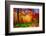 One Fine Day-Philippe Sainte-Laudy-Framed Photographic Print