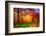 One Fine Day-Philippe Sainte-Laudy-Framed Photographic Print