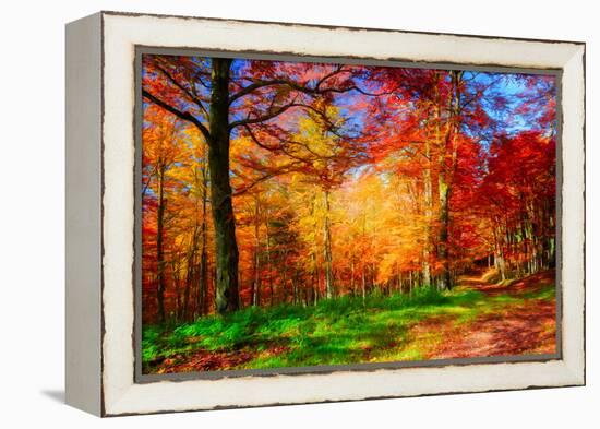 One Fine Day-Philippe Sainte-Laudy-Framed Premier Image Canvas