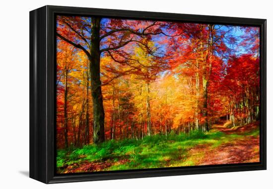 One Fine Day-Philippe Sainte-Laudy-Framed Premier Image Canvas