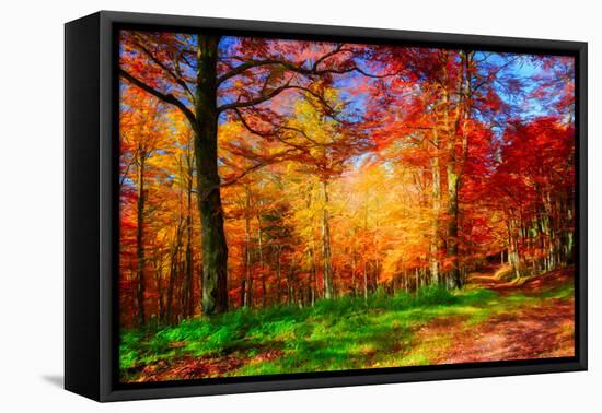 One Fine Day-Philippe Sainte-Laudy-Framed Premier Image Canvas