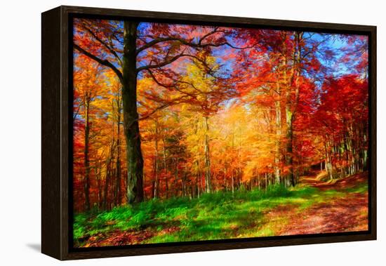 One Fine Day-Philippe Sainte-Laudy-Framed Premier Image Canvas